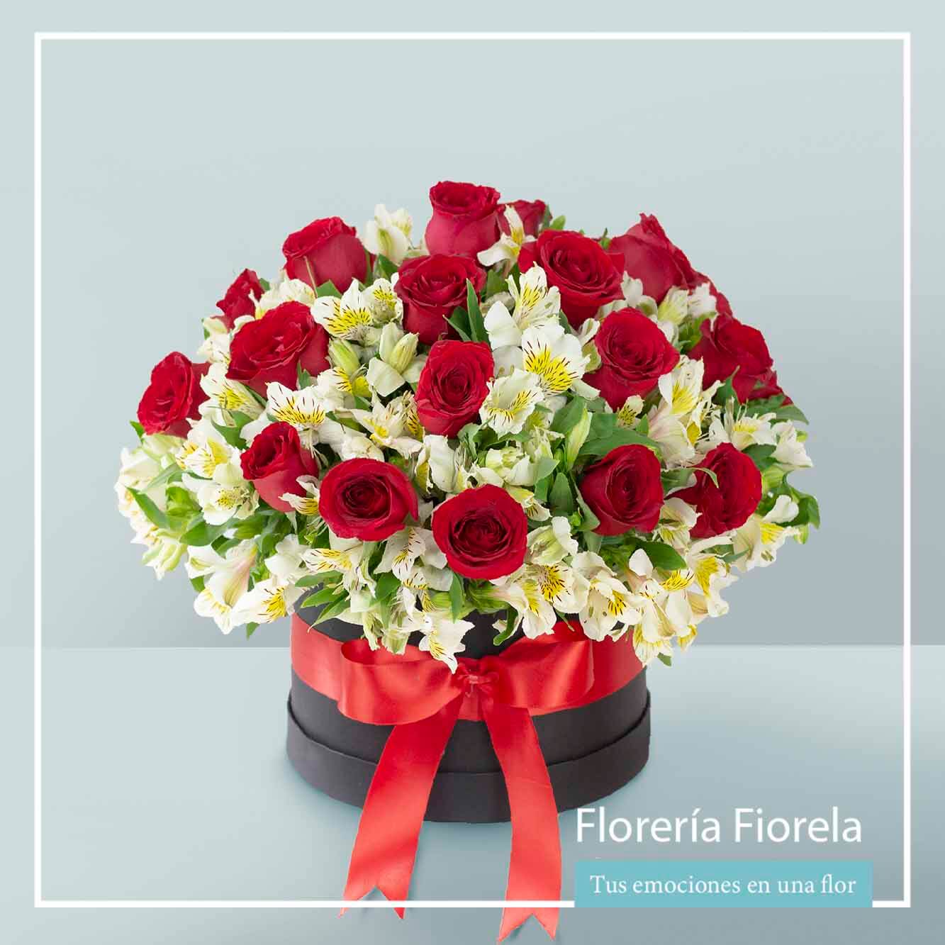 Arreglo de 24 rosas rojas - Eleonor - Florería en Línea